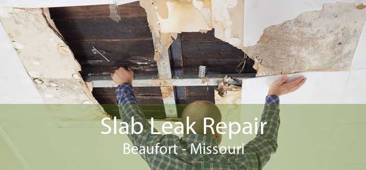 Slab Leak Repair Beaufort - Missouri