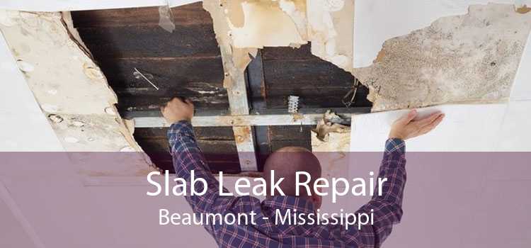 Slab Leak Repair Beaumont - Mississippi