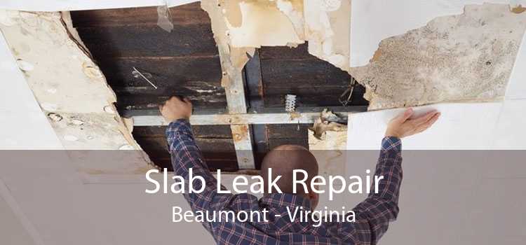 Slab Leak Repair Beaumont - Virginia