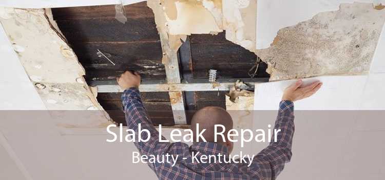 Slab Leak Repair Beauty - Kentucky