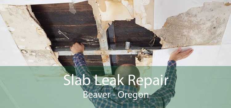 Slab Leak Repair Beaver - Oregon