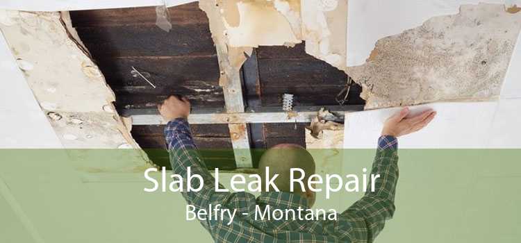 Slab Leak Repair Belfry - Montana