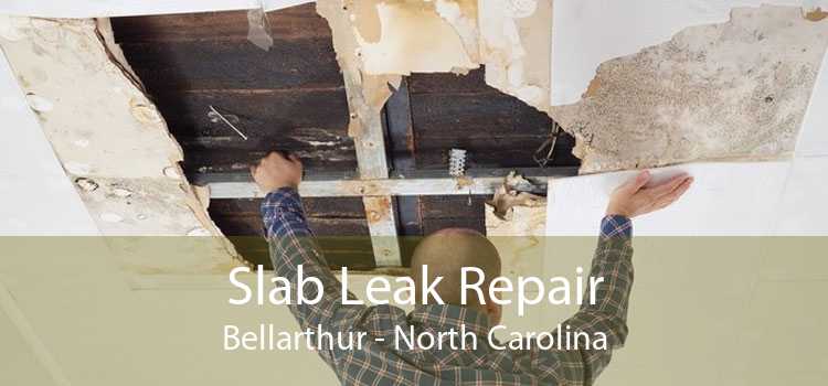 Slab Leak Repair Bellarthur - North Carolina