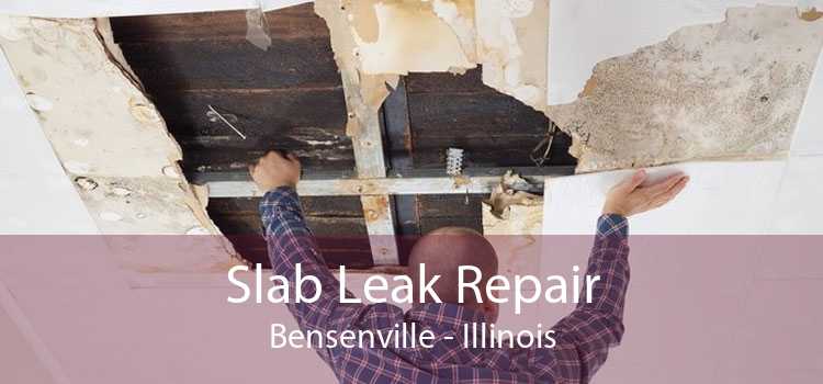 Slab Leak Repair Bensenville - Illinois