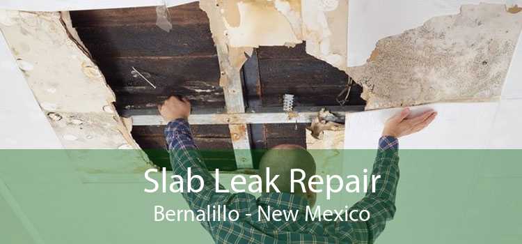 Slab Leak Repair Bernalillo - New Mexico