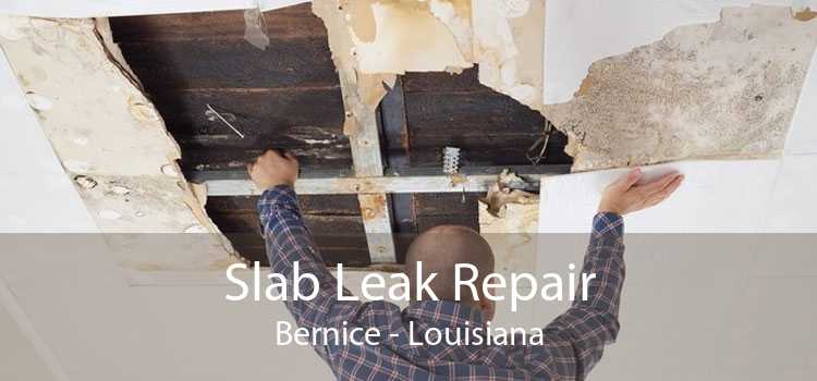 Slab Leak Repair Bernice - Louisiana