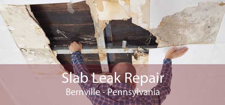 Slab Leak Repair Bernville - Pennsylvania