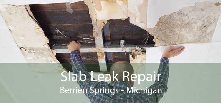 Slab Leak Repair Berrien Springs - Michigan