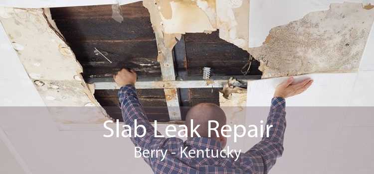 Slab Leak Repair Berry - Kentucky