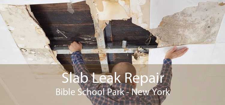 Slab Leak Repair Bible School Park - New York