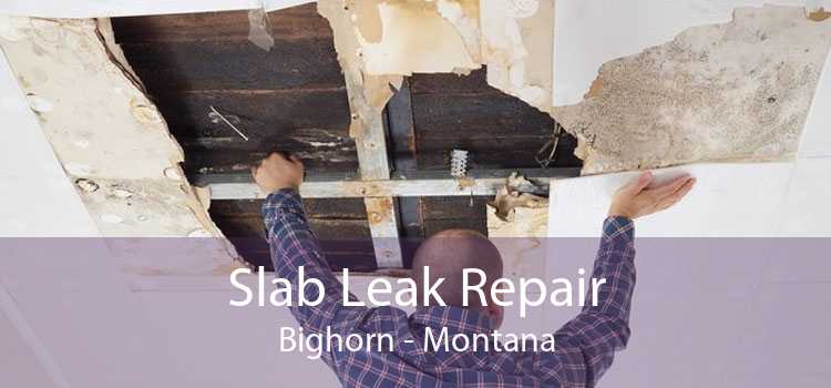 Slab Leak Repair Bighorn - Montana