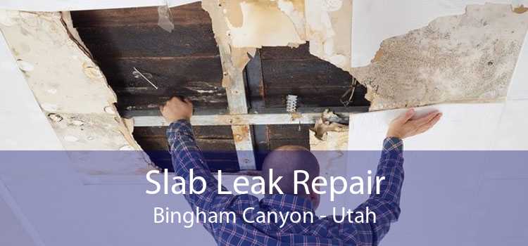 Slab Leak Repair Bingham Canyon - Utah