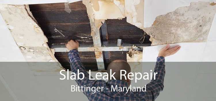 Slab Leak Repair Bittinger - Maryland