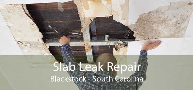 Slab Leak Repair Blackstock - South Carolina