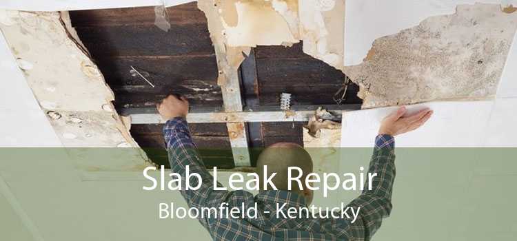 Slab Leak Repair Bloomfield - Kentucky