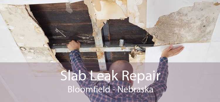 Slab Leak Repair Bloomfield - Nebraska