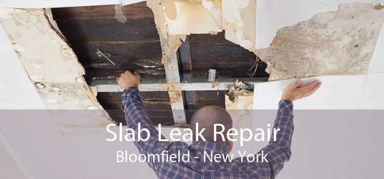 Slab Leak Repair Bloomfield - New York