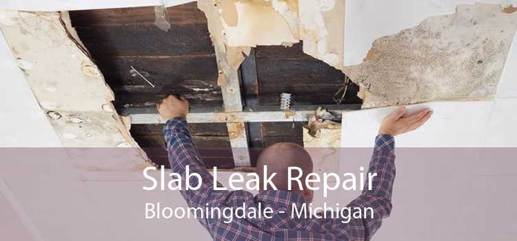 Slab Leak Repair Bloomingdale - Michigan