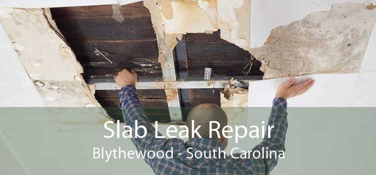 Slab Leak Repair Blythewood - South Carolina