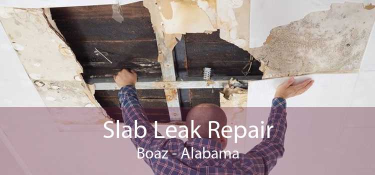 Slab Leak Repair Boaz - Alabama