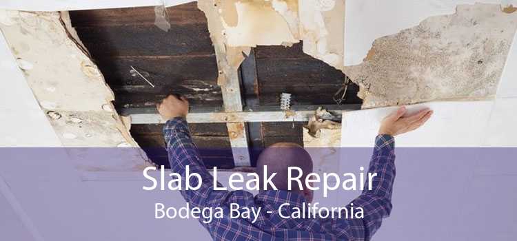 Slab Leak Repair Bodega Bay - California