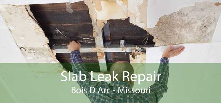 Slab Leak Repair Bois D Arc - Missouri
