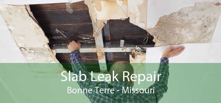 Slab Leak Repair Bonne Terre - Missouri