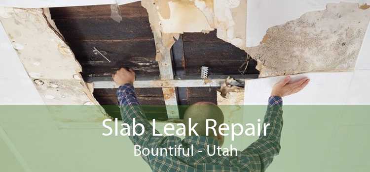 Slab Leak Repair Bountiful - Utah