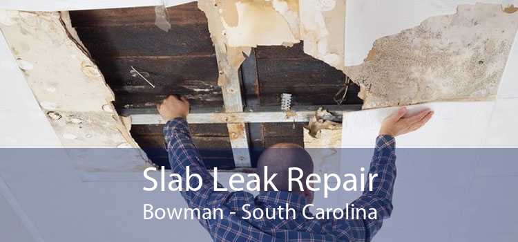 Slab Leak Repair Bowman - South Carolina