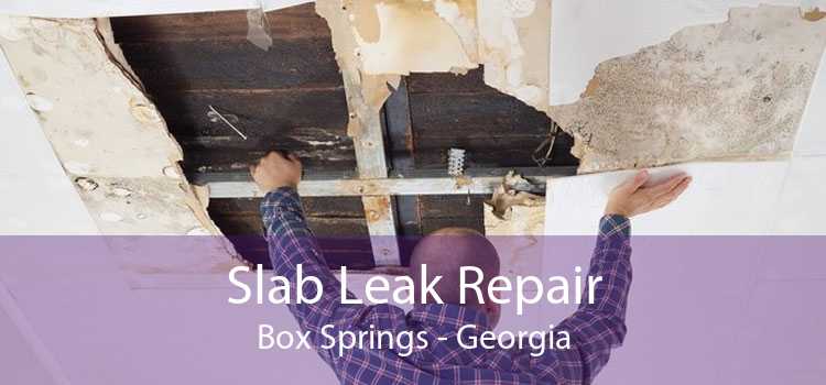 Slab Leak Repair Box Springs - Georgia
