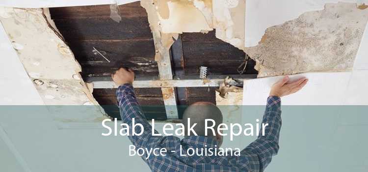 Slab Leak Repair Boyce - Louisiana
