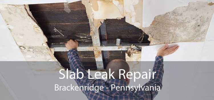 Slab Leak Repair Brackenridge - Pennsylvania