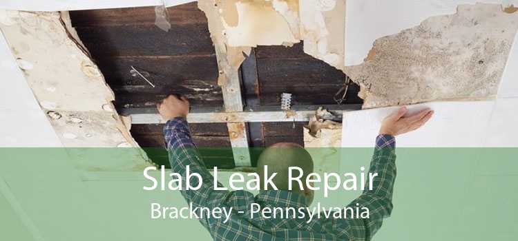Slab Leak Repair Brackney - Pennsylvania