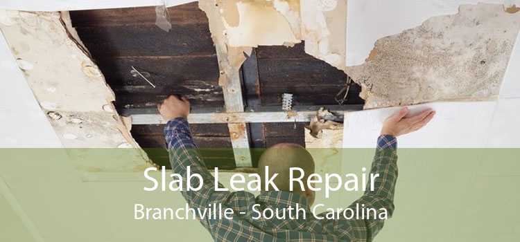Slab Leak Repair Branchville - South Carolina