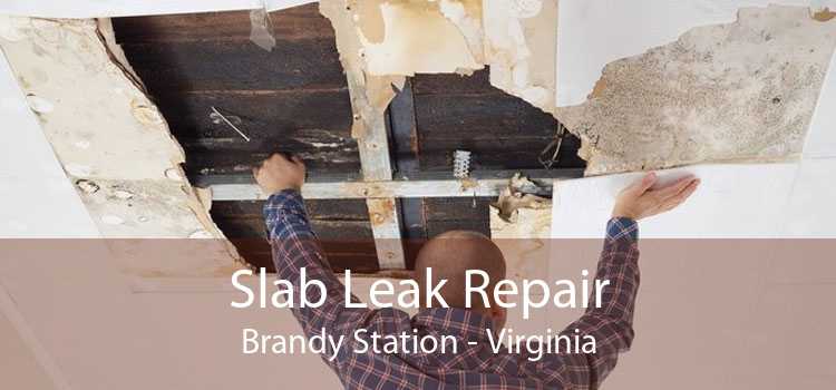 Slab Leak Repair Brandy Station - Virginia