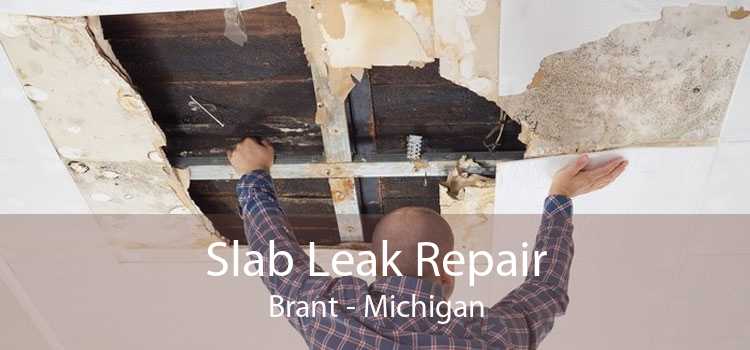 Slab Leak Repair Brant - Michigan