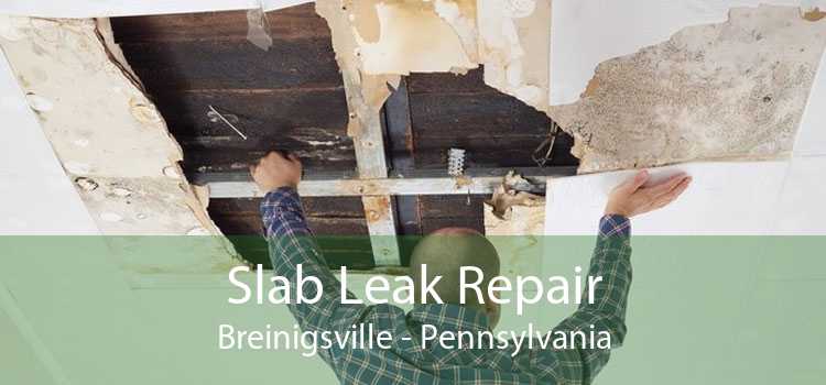 Slab Leak Repair Breinigsville - Pennsylvania