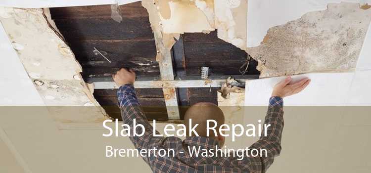 Slab Leak Repair Bremerton - Washington
