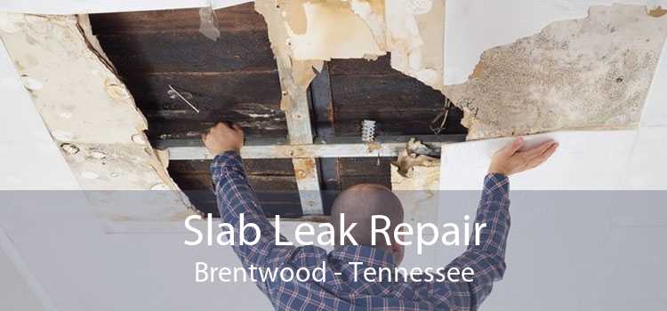 Slab Leak Repair Brentwood - Tennessee