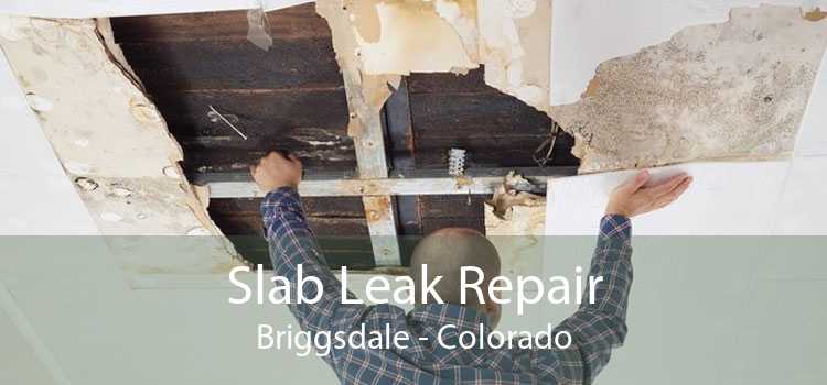 Slab Leak Repair Briggsdale - Colorado