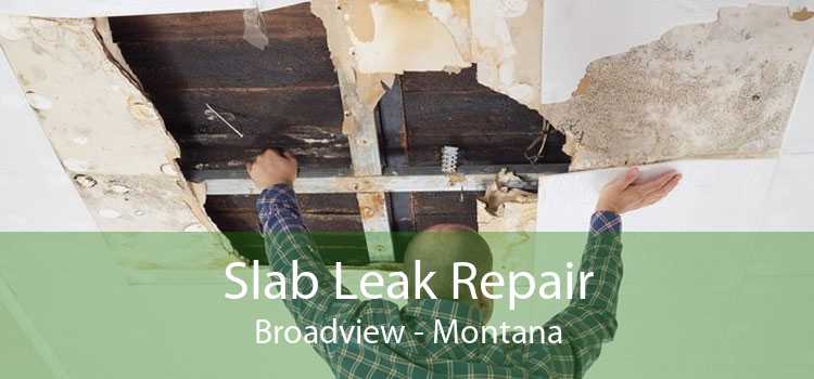 Slab Leak Repair Broadview - Montana