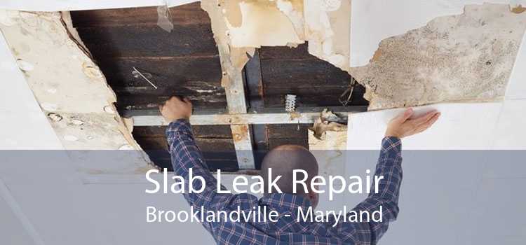 Slab Leak Repair Brooklandville - Maryland