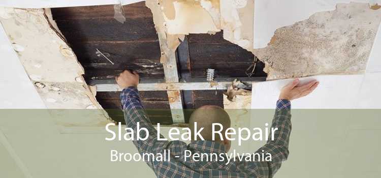 Slab Leak Repair Broomall - Pennsylvania