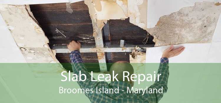 Slab Leak Repair Broomes Island - Maryland