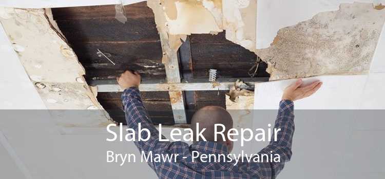 Slab Leak Repair Bryn Mawr - Pennsylvania