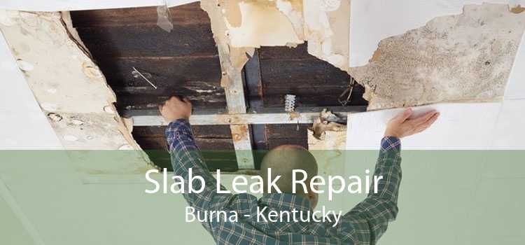 Slab Leak Repair Burna - Kentucky