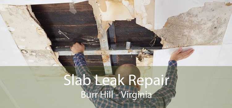 Slab Leak Repair Burr Hill - Virginia