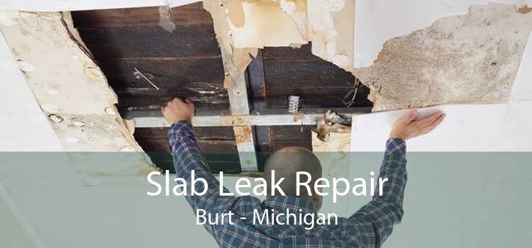 Slab Leak Repair Burt - Michigan