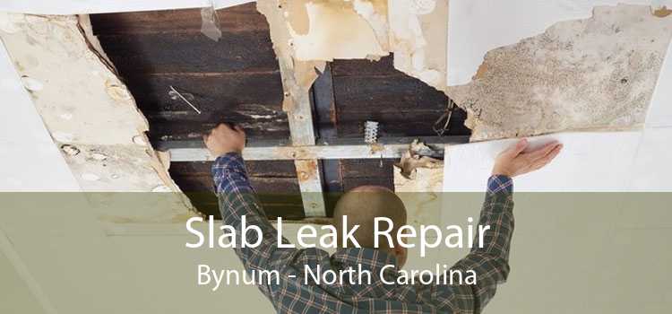 Slab Leak Repair Bynum - North Carolina