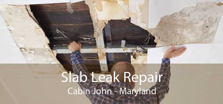 Slab Leak Repair Cabin John - Maryland